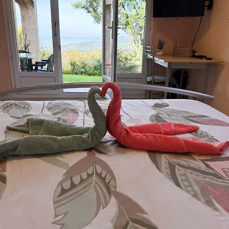 Apartman Domaine Mare E Monti - T2 Les Mimosas