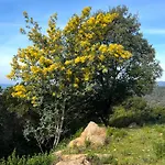 Domaine Mare E Monti - T2 Les Mimosas * Albitreccia